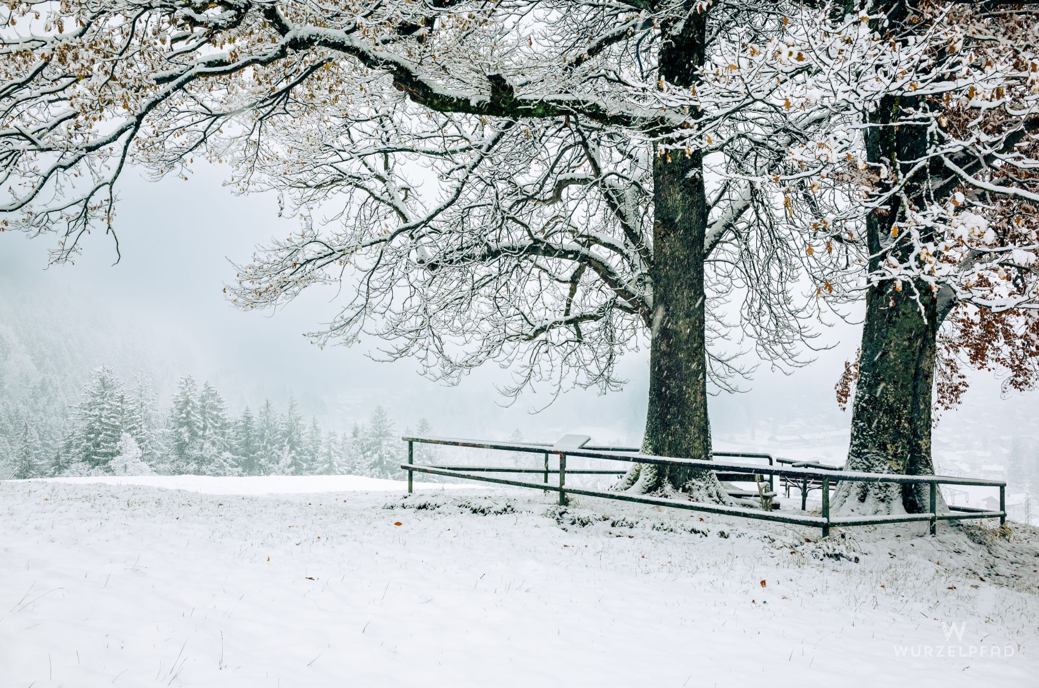 An der Kohlleite, Gedenken an Franz Marc